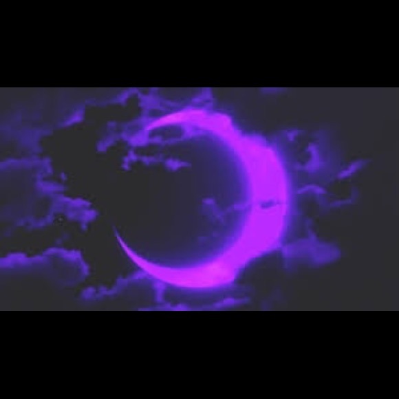 Meet your Posher, Luna - Picture 3 of 5